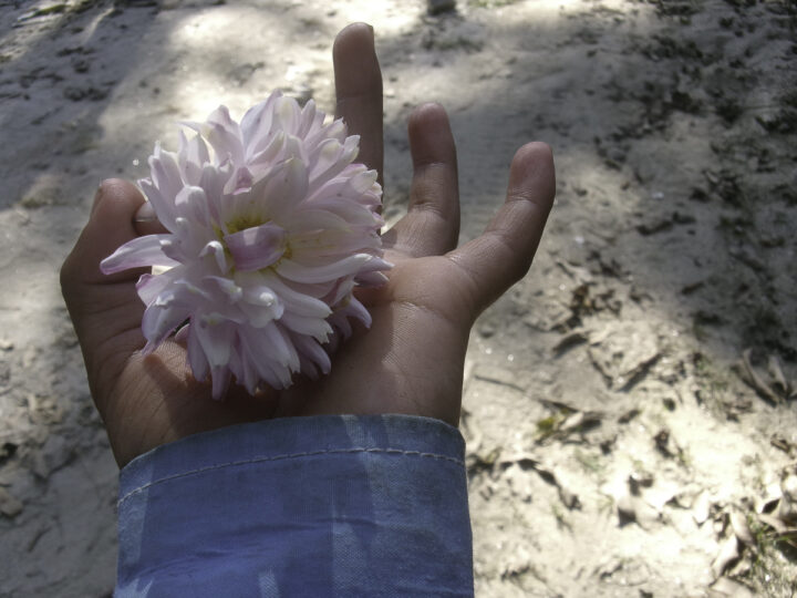 My Flower